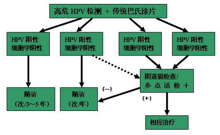 条件允许的人群,推荐采用高危型hpv检测联合宫颈液基细胞学检查(tct